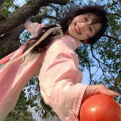 玛雅蜜蜂大冒险