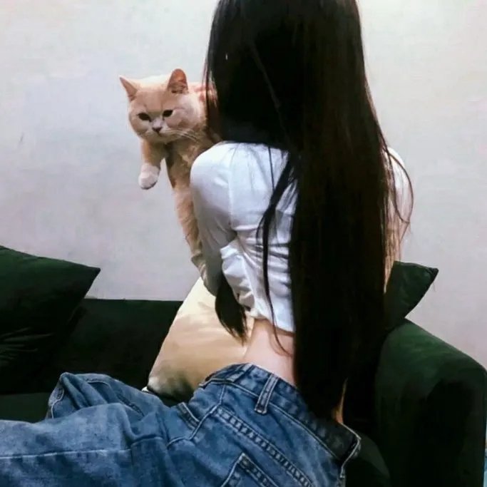 狼群之中